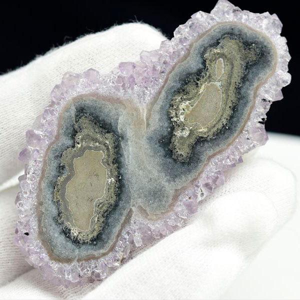 t[AWXg XCX X^N^Cg  EOAC AeBKXY  AWXgNX^[ Artigas Uruguay X^N^Cg ߓ