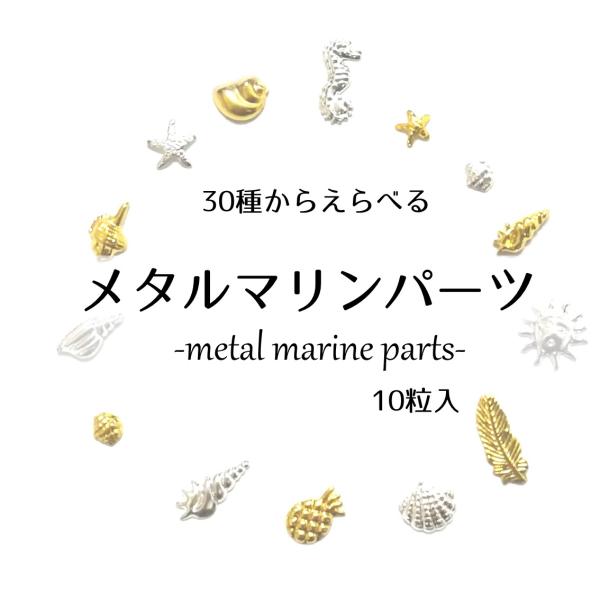 夏ネイル マリン パーツ 10個 ジェルネイル ネイル シェル 貝 梅雨ネイル ギフト 夏 ターコイズ フレンチネイル