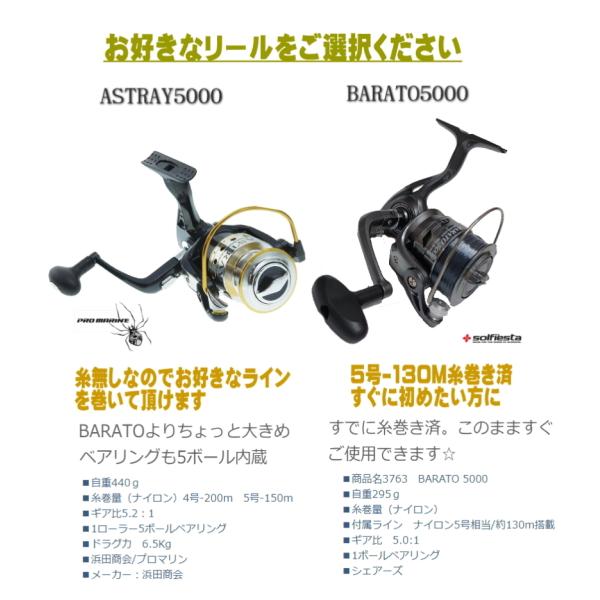 振出 サーフ セット 投げ釣りセット 投げ竿4 2m 5000 Or 3500 5号150ｍ糸巻済 リール のセット 30 4 投釣 ロッド リール 投竿 遠投 サーフロッド Buyee Buyee 日本の通販商品 オークションの代理入札 代理購入