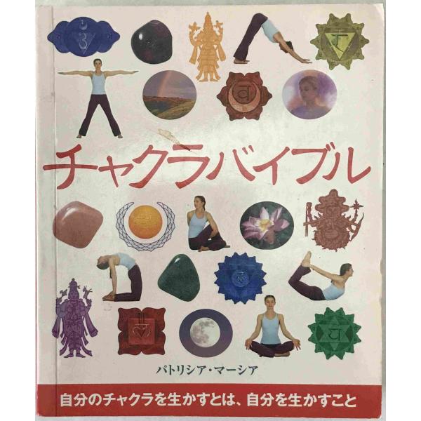 チャクラバイブル