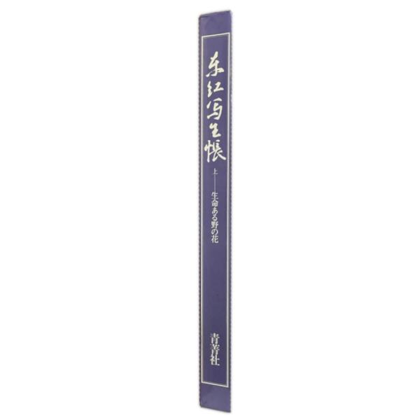 東江写生帳 上 東江写生帳 : 株式会社Wit tech古書Upproヤフー店 - 通販 - Yahoo