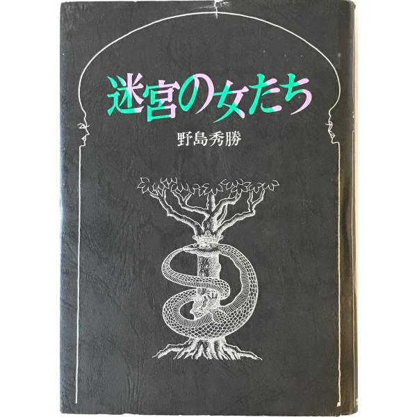 ・書名：迷宮の女たち ・ISBN： ・著者：野島秀勝 著 ・出版元：ティビーエス・ブリタニカ ・刊行年：1981/07/01 ・解説：