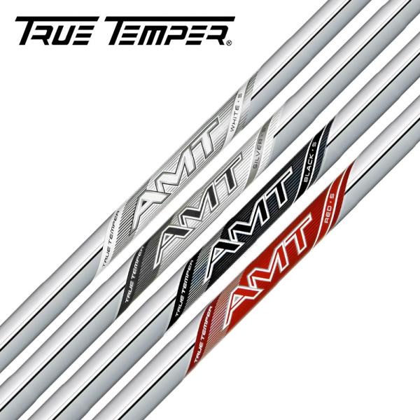 トゥルーテンパー ダイナミックゴールド Dynamic Gold AMT WHITE