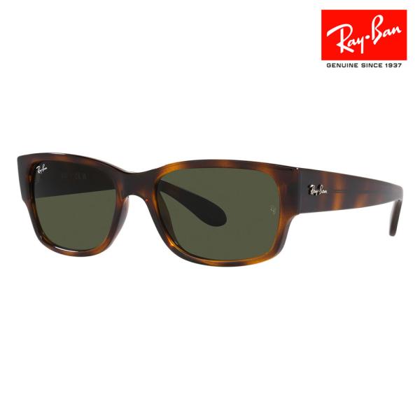 Ray-Ban（レイバン） サングラス 純正レンズ対応 RB4388 710/31 55 58