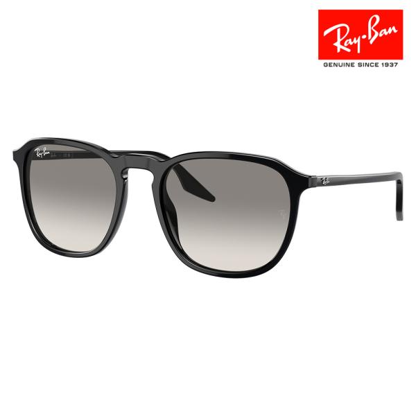 Ray-Ban（レイバン） サングラス 純正レンズ対応 RB2203F 901/32 55
