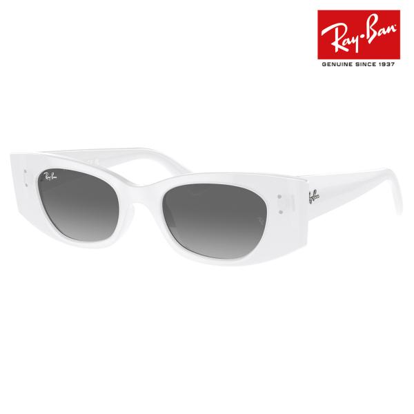 Ray-Ban（レイバン） サングラス 純正レンズ対応 RB4427 675911 49 KAT
