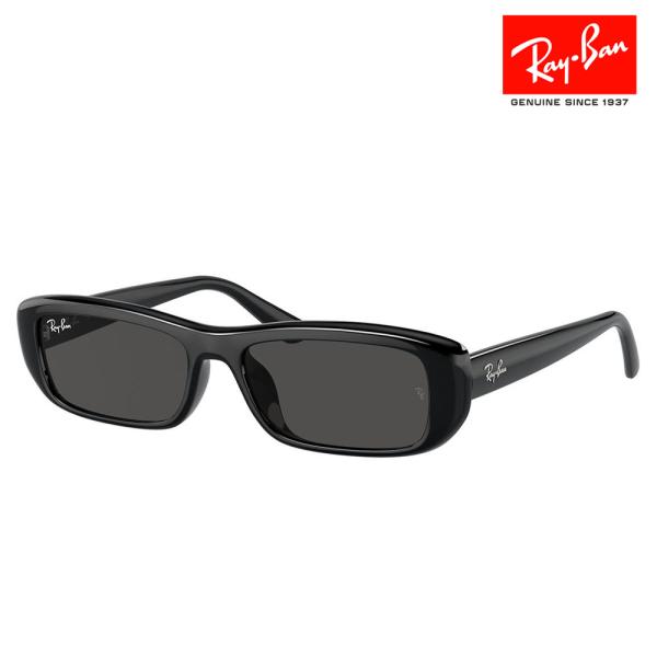 Ray-Ban レイバン サングラス 純正レンズ対応 RB4436D 667787 55 Ray-Ban レイバン サングラス 純正レンズ対応 RB4436D 667787 55