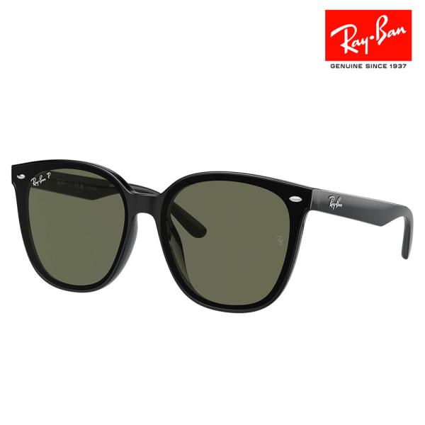 Ray-Ban（レイバン） サングラス 純正レンズ対応 RB4423D 601/9A 66