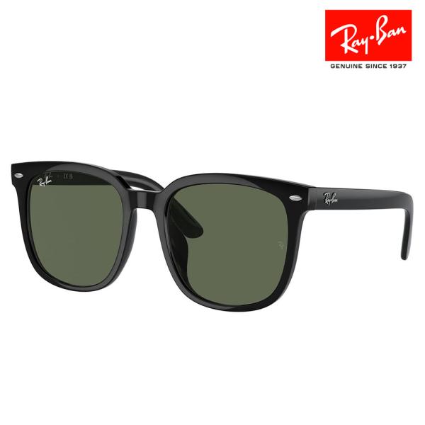RayBan 未使用品 RB4401D 601/19 サングラス フラットレンズ Ray-Ban（レイバン） サングラス 純正レンズ対応 RB4401D 601/71 57