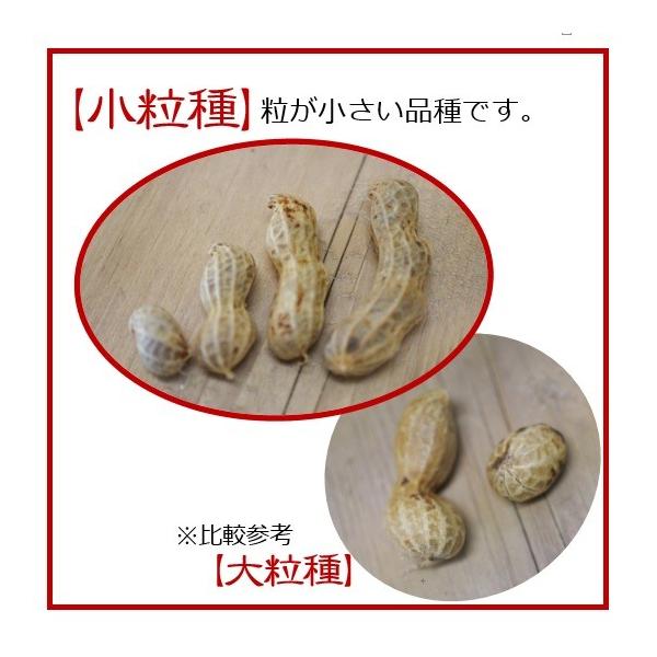 新物 塩ゆで落花生 小粒 500g 大村産 ゆでピープロジェクト Buyee Buyee 日本の通販商品 オークションの入札サポート 購入サポートサービス