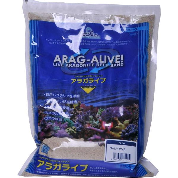 カミハタ アラガライブ フィジーピンク 4 5kg Www Wearefromdust Org