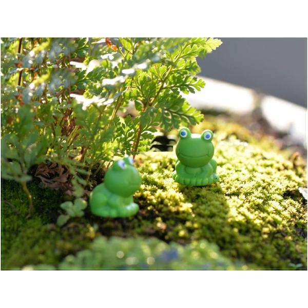 サイズ：1.5cm「樹脂小さなカエル 緑 装飾苔マイクロ風景人形装飾青い目の DIY 素材水槽造園」は、水槽造園やミニチュア風景のデザインに使用するための素材セットです。このセットには以下の特徴があります。小さなカエルキャラクター: 緑色の...