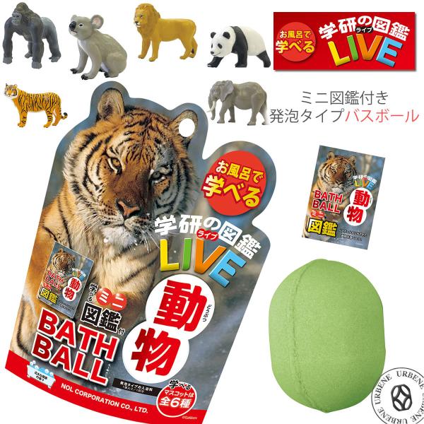 oX{[ w̐}ӃCuLIVE  Lȑ̍ }XRbg A^Cv  oX{  oXpi ӂ oXtBY