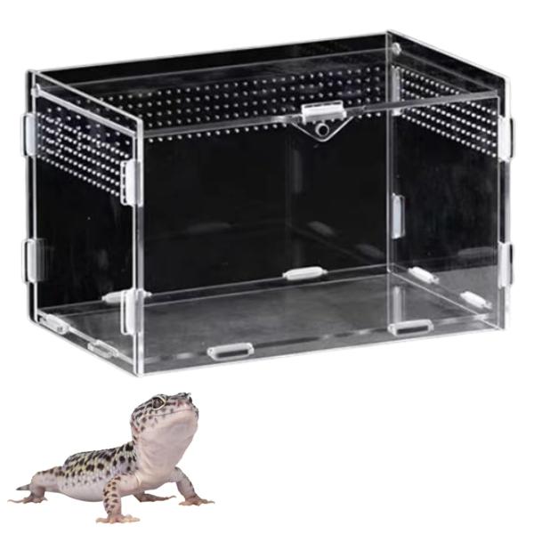 爬虫類　飼育器具　セット