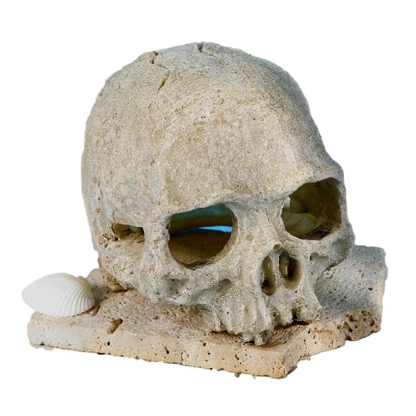 Sugarello 爬虫類 隠れ家 シェルター テラリウム ケージ がいこつ 爬虫類飼育 アクアリウム 装飾 ドクロ オブジェ 水槽 インテリア 置物 トカゲ ヘビ 亀