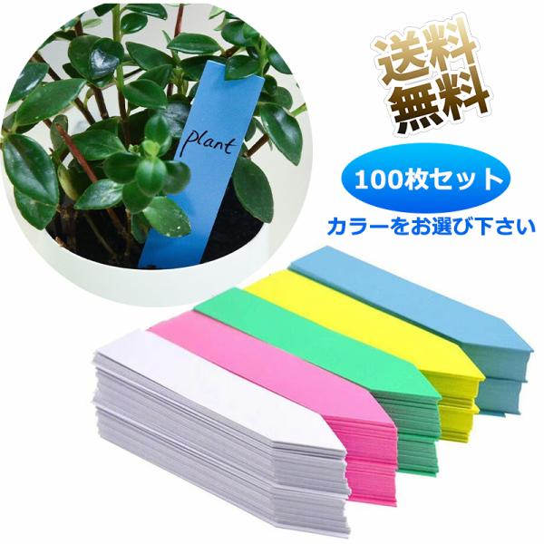 [Release date: March 15, 2024]プラスチック製園芸ラベル 植物名の表示などに便利です。プラスチック製なので木製タグのように腐敗せず、金属タグのように錆びません。※商品の性質上、色のムラや汚れスリキズ等ございます。...