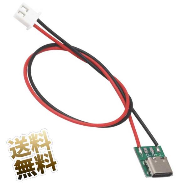 レセプタクル USBタイプC コネクタ XH 2.54 2ピン 端子変換 ケーブル