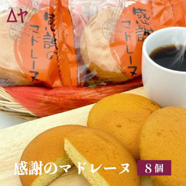 マドレーヌ　送料込