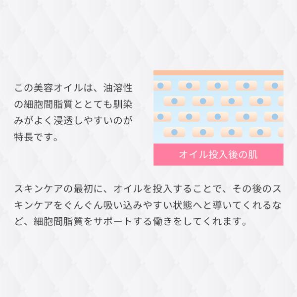 Charveil スキンケアオイル ブースター 導入液 保湿ケア ナノ化 植物オイル配合 ml 約日分 Buyee Buyee Japanese Proxy Service Buy From Japan Bot Online