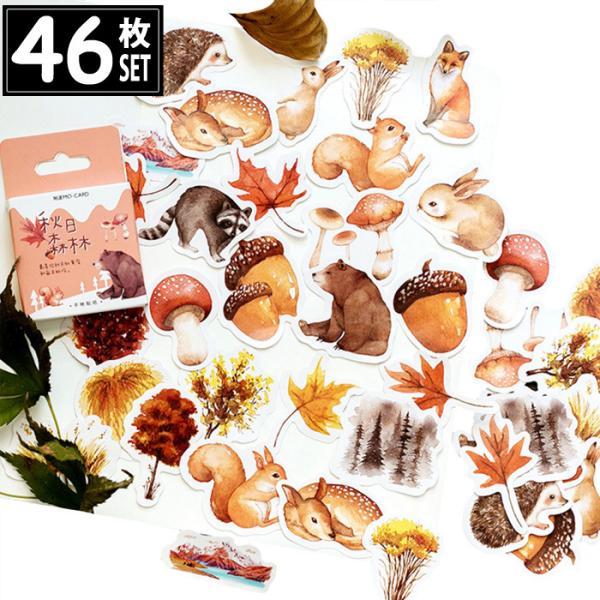 46 V[ H  CXg AeB[N re[W fRXebJ[ AeB[N R[W g