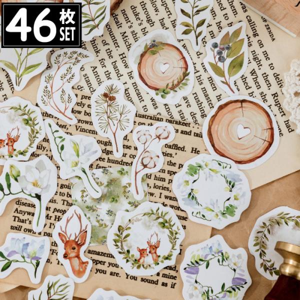 46 V[ [X  t CXg AeB[N re[W fRXebJ[ AeB[N R[W g