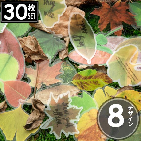 30 V[ t [t  AeB[N re[W fRXebJ[ AeB[N R[W g