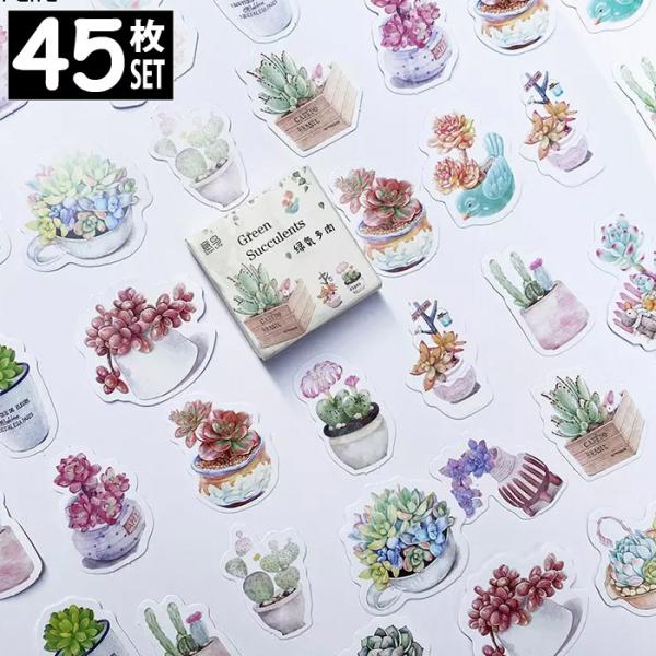 45 V[ T{e CXg AeB[N re[W fRXebJ[ AeB[N R[W g