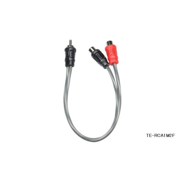 TE-RCA1M2F,1{ YA_v^[ eBAbN TEAC