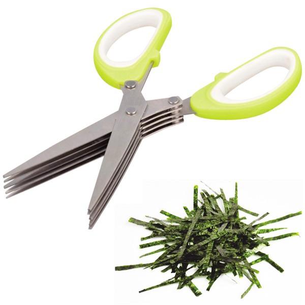 Lb`oT~ ݊C ̂p oT~ ݊Cۂ΂