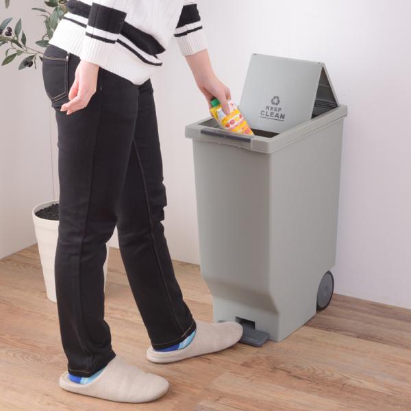 S~ 45bg LX^[t ݔ 45L ӂt t^ W  Vv CeA XCh y_