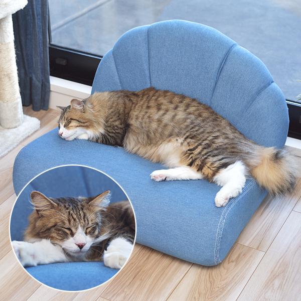 ybgp\t@ L lR ˂ ^ Ck  ~jTCY \t@[ VF^ L `[t fjn  CeA JWA 킢 rO