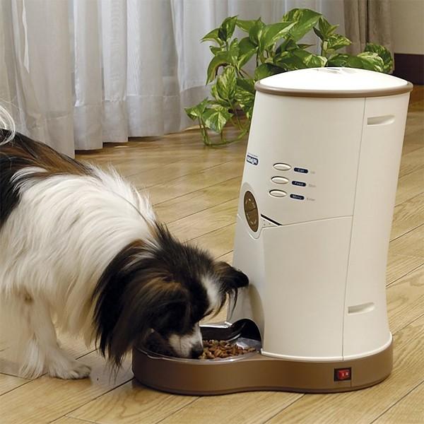 ペット自動給餌器 エサ箱 犬 猫 :cd-600:うさぎ屋 - 通販 - Yahoo!ショッピング
