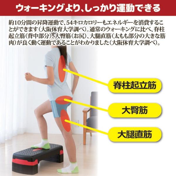 踏み台 昇降運動 エクササイズ ステップ台 健康器具 Buyee Buyee 日本の通販商品 オークションの代理入札 代理購入