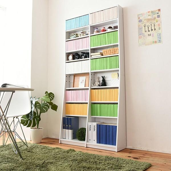 薄型本棚 JK-PLAN（ジェイケイ・プラン） 本棚 上置き棚セット 1cmピッチ 薄型