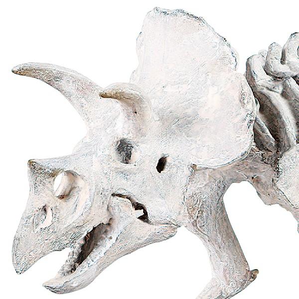 DULTON（ダルトン） 恐竜 化石 フィギュア トリケラトプス おしゃれ