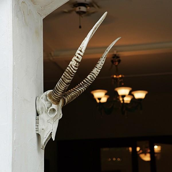 動物 首 頭 ハンティングトロフィー アニマルヘッド 壁掛け 置き物 インテリア おしゃれ アンテロープ Buyee Buyee 提供一站式最全面最專業現地yahoo Japan拍賣代bid代拍代購服務 Bot Online