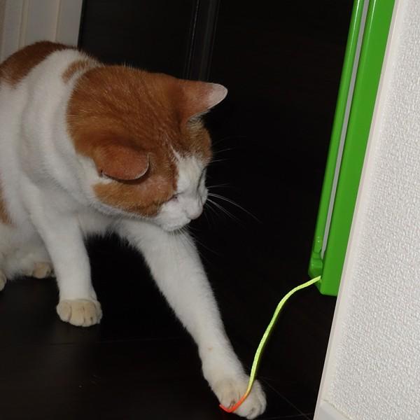 猫 遊び道具 おもちゃ ネコじゃらし 自動 電池式 猫グッズ 雑貨 Buyee Buyee 提供一站式最全面最专业现地yahoo Japan拍卖代bid代拍代购服务 Bot Online