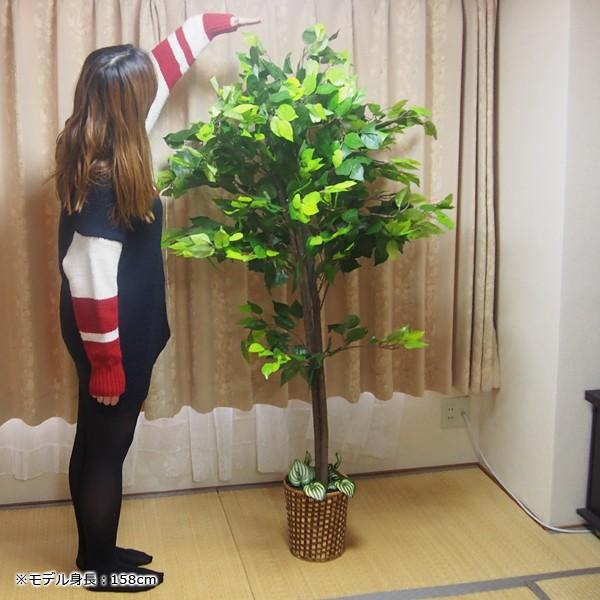 観葉植物 造花 フェイクグリーン 大型 造木 インテリア おしゃれ ベンジャミン ブーゲンビリア 観音竹 室内 オフィス 職場 店舗 玄関 人工物 偽物 リアル Buyee Buyee 日本の通販商品 オークションの代理入札 代理購入