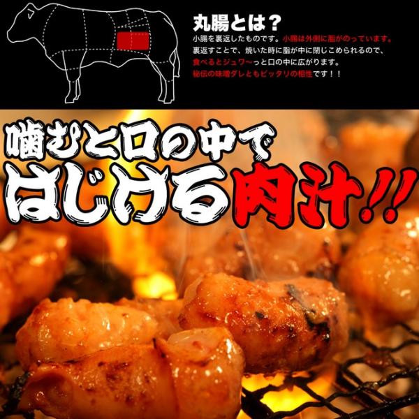丸腸ホルモン 牛 ホルモン焼き マルチョウ ホルモン お試しセット 軽減税率 消費税8 Buyee Buyee 提供一站式最全面最專業現地yahoo Japan拍賣代bid代拍代購服務 Bot Online