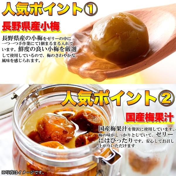 梅ゼリー 国産 小梅 蜂蜜 梅干し おやつ 軽減税率 消費税8 Buyee Servis Zakupok Tretim Licom Buyee Pokupajte Iz Yaponii
