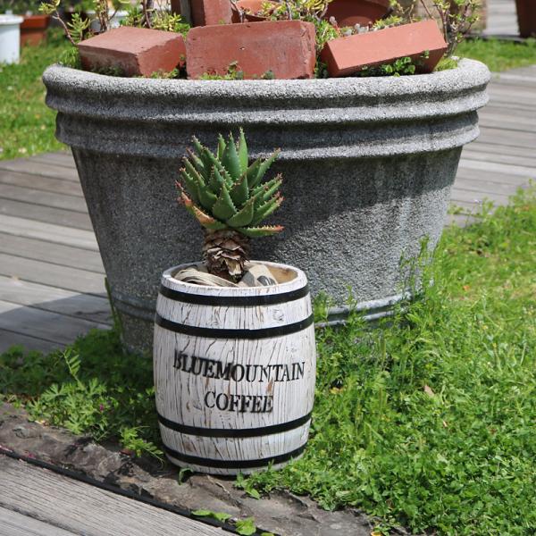 usagi-shop_sms-cb-2330n-wht