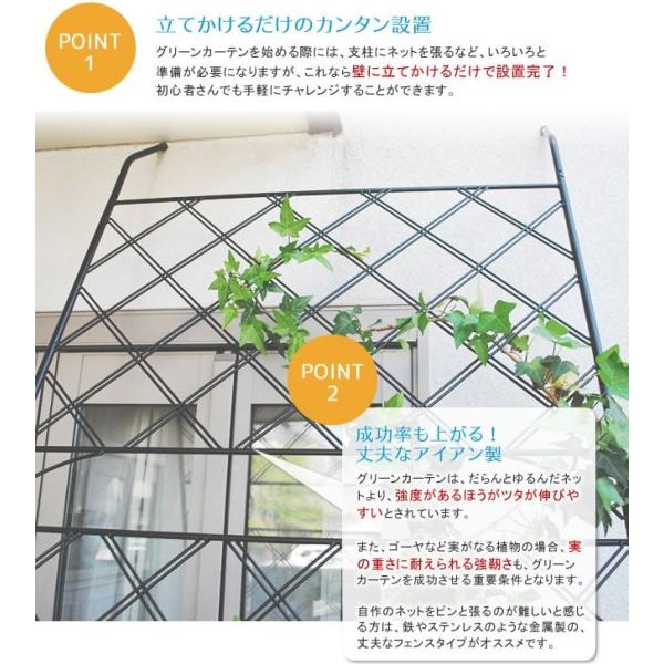 グリーンカーテン用フェンス アイアン グリーンカーテン 枠 柵 仕切り 目隠し ゴーヤ 薔薇 バラ 朝顔 庭 ベランダ ガーデニング Buyee Buyee 日本の通販商品 オークションの入札サポート 購入サポートサービス