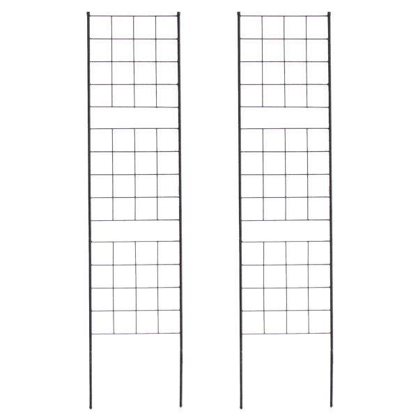 tFX nC^Cv K[fjO  |    ߍ  d؂ Vv