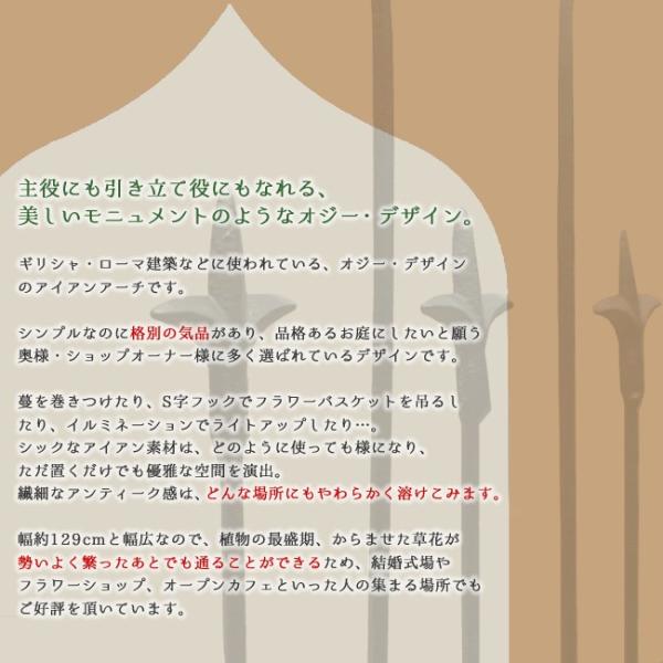 ガーデンアーチ アーチ 門 ゲート アイアン フェンス 鉄製 おしゃれ 北欧 園芸 支柱 庭 ガーデニング 黒 ブラック Buyee Buyee Japanese Proxy Service Buy From Japan Bot Online