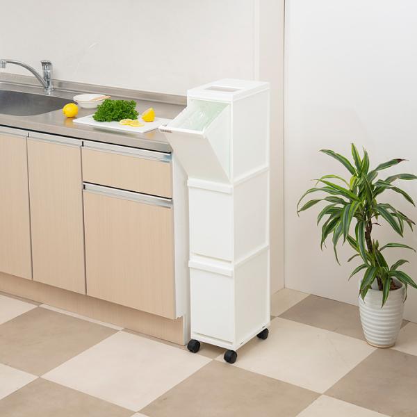 S~ 3i  LX^[t ݔ c^ Lb` rO ӂt W  zCg  ubN ȃXy[X  X^CbV X e 36L