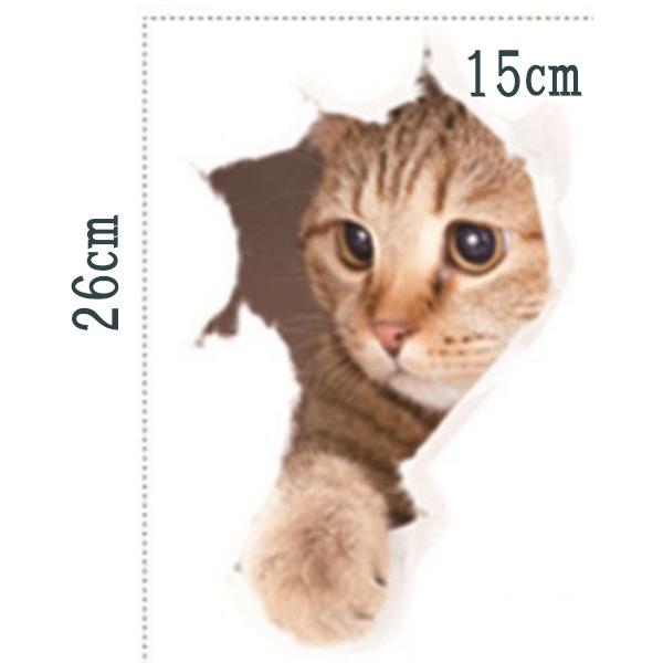 �L�V�[�� �E�H�[���X�e�b�J�[ �g���b�N�A�[�g XP2010