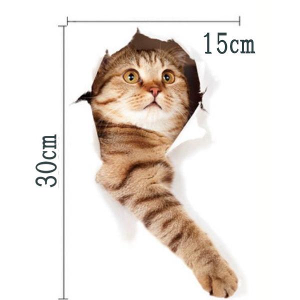 �L�V�[�� �E�H�[���X�e�b�J�[ �g���b�N�A�[�g XP2006