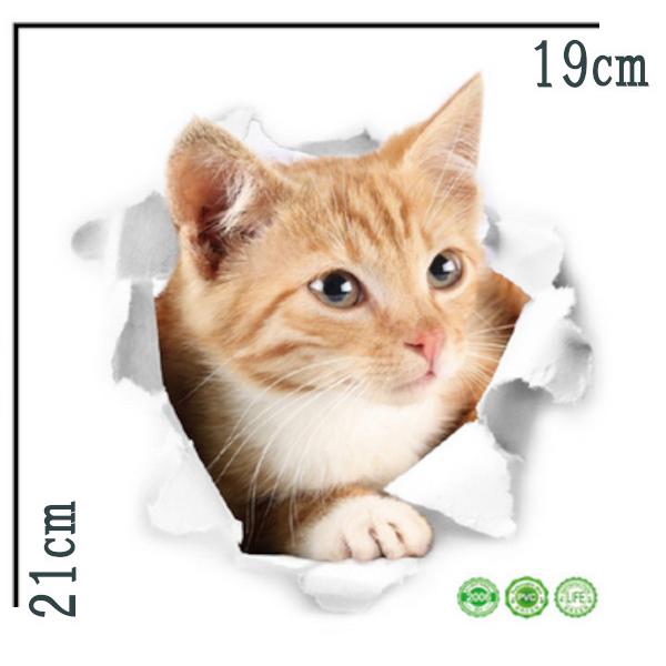 �L�V�[�� �E�H�[���X�e�b�J�[ �g���b�N�A�[�g XH2006