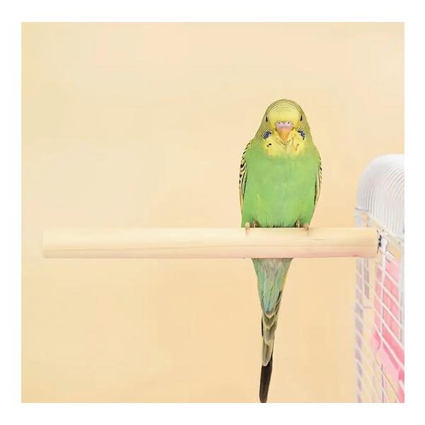 蝶ねじとワッシャーで鳥かごのワイヤーを挟んで使用する止まり木です※長さ表示には、若干の誤差があります