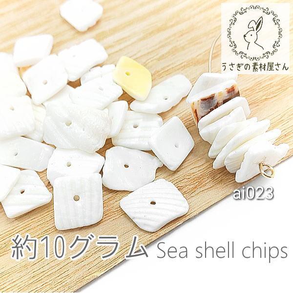 シェルチップ 貝 欠片 海 シーシェル パーツ マリン 夏 貝殻 特価 約10グラム Ai023 うさぎの素材屋さんyahoo 店 通販 Yahoo ショッピング